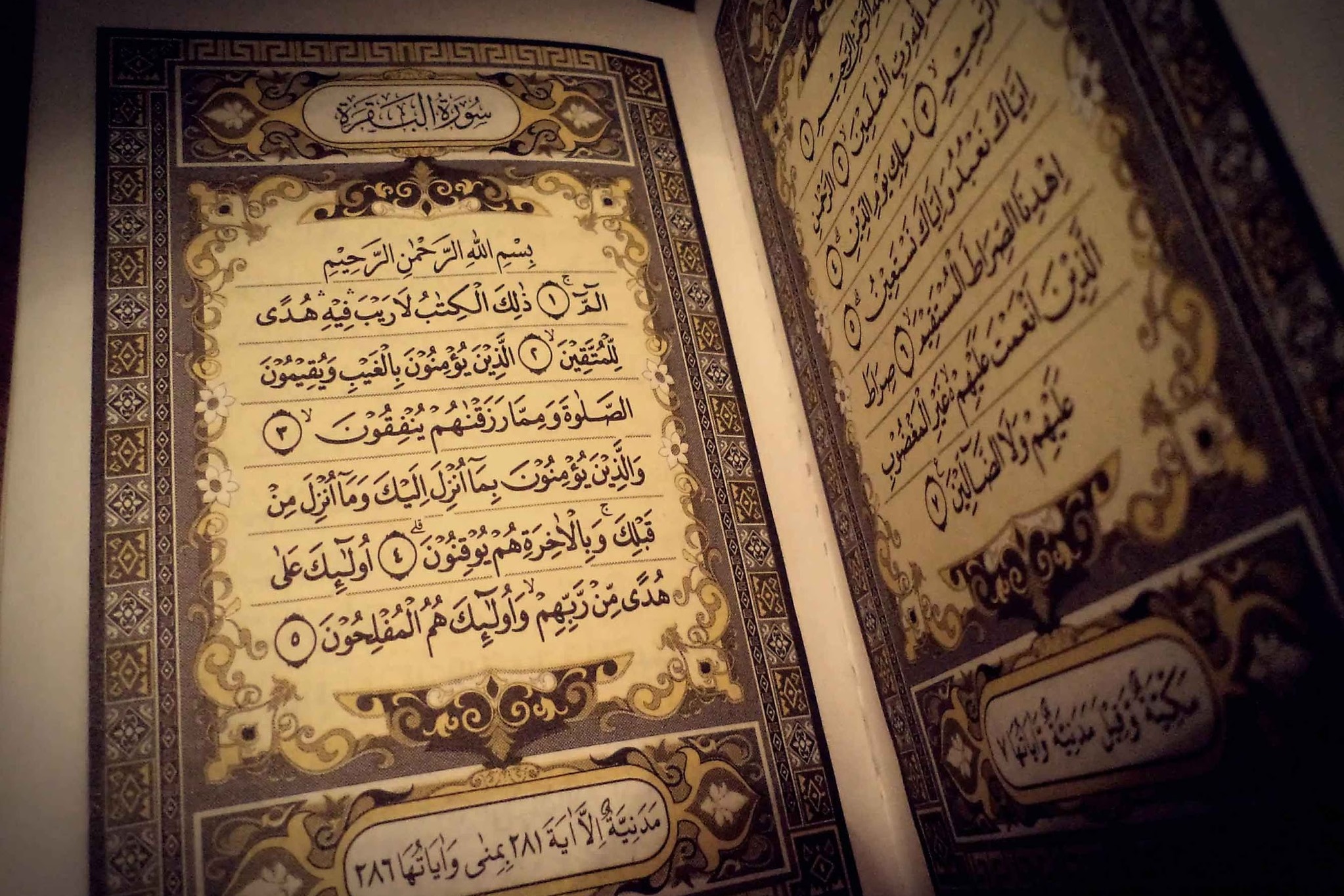 La Luce del Corano-Esegesi del Sacro Corano,vol 1 - Parte 21 - Sura Al-Bagharah - versetto 49