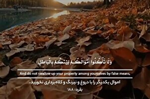 Eigentum nicht gegenseitig durch Betrug einheimsen