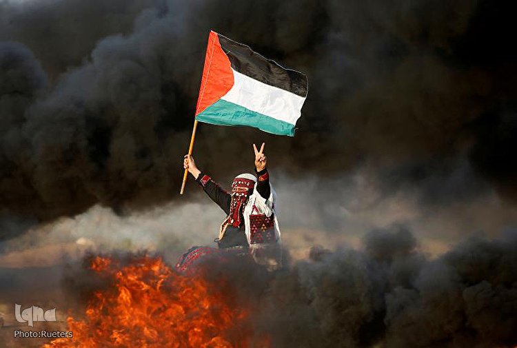 یک‌سال، نه به نکبت