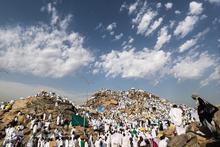 گذری در صحرای عرفات و منا