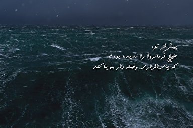 فیلم/ اقیانوس عمود؛ علی(ع) امامی برگزیده از سوی خداوند