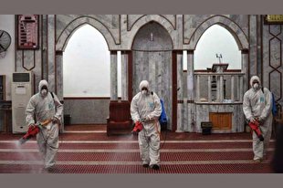 4 هزار مسجد در الجزایر واجد شرایط بازگشایی هستند