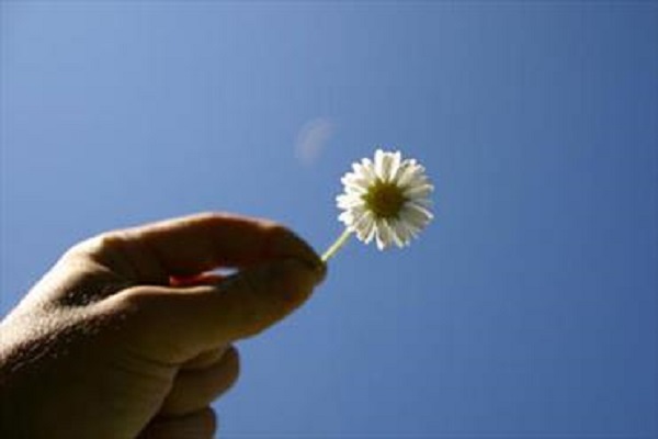 پرویز توسلیزاده رئیس کل دادگستری استان کرمانشاه پرویز توسلیزاده رئیس کل دادگستری استان کرمانشاه