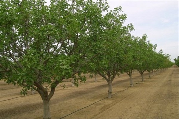 حجت&zwnj;الاسلام محمد صالحی اوقاف و امور خیریه کرمانشاه
