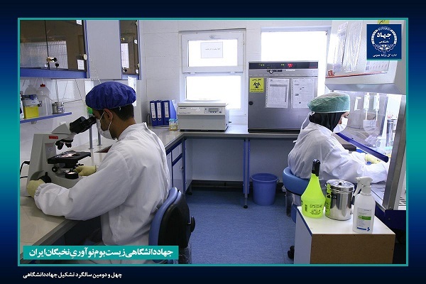 چترحمایتی جهاددانشگاهی بر ۵۱۰ شرکت فناور و دانش‌بنیان