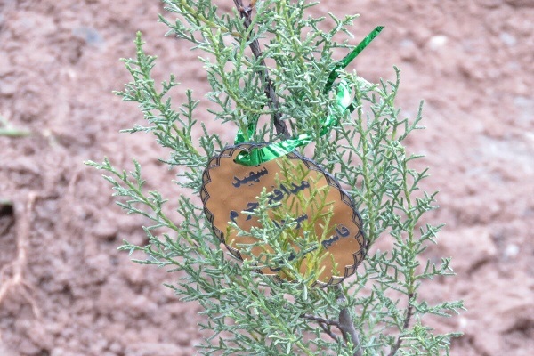 کاشت نهال به یاد شهدا