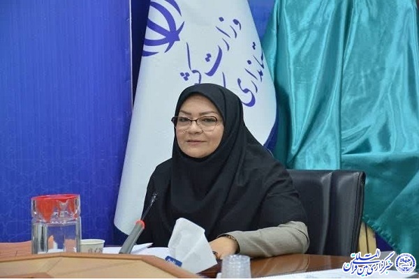 معصومه حسنی خونسار کتابخانه‌های عمومی استان کرمانشاه