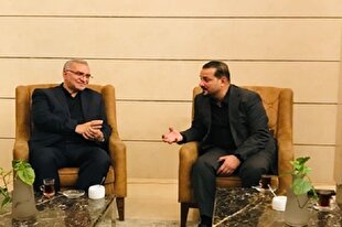 وزیر بهداشت با مدیرعامل سلامت عمومی استان نجف عراق دیدار کرد