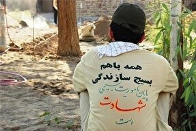 فعالیت 45 گروه جهادی البرز در ایام فاطمیه