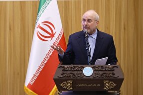 لزوم مشارکت معنادار میان نهاد دولت و مردم