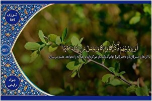 Wani sashe na karatun 