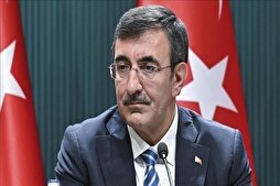 Türkiye Cumhurbaşkanı Yardımcısı: Kerbela’da yaşanan neyse Gazze’de de bir benzeri yaşanıyor