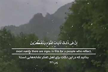 供深思者的迹象