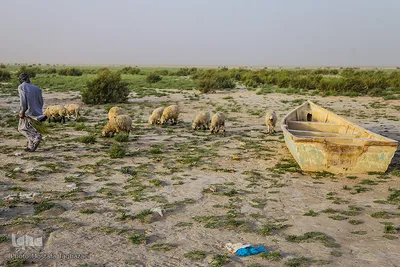 روستای اربابی (تخت عدالت)