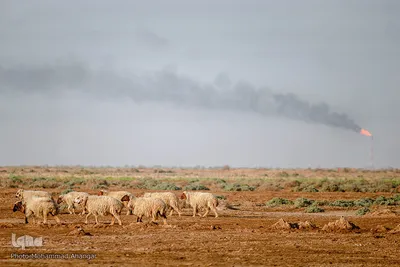 آبرسانی به روستاهای هویزه